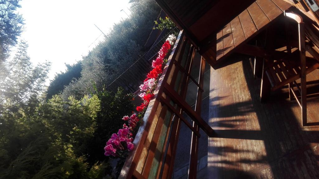 알벤가 Agriturismo Baita Marina 빌라 외부 사진